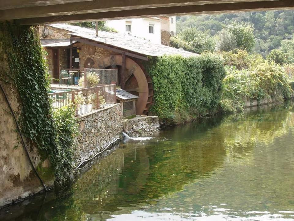 Aradas, Pampilhosa Da Serra, Casa Da Oliveira, Wifi, Ar Condicionado, Churrasqueira, Parqueamento, By Ig Unhais-o-Velho Eksteriør billede